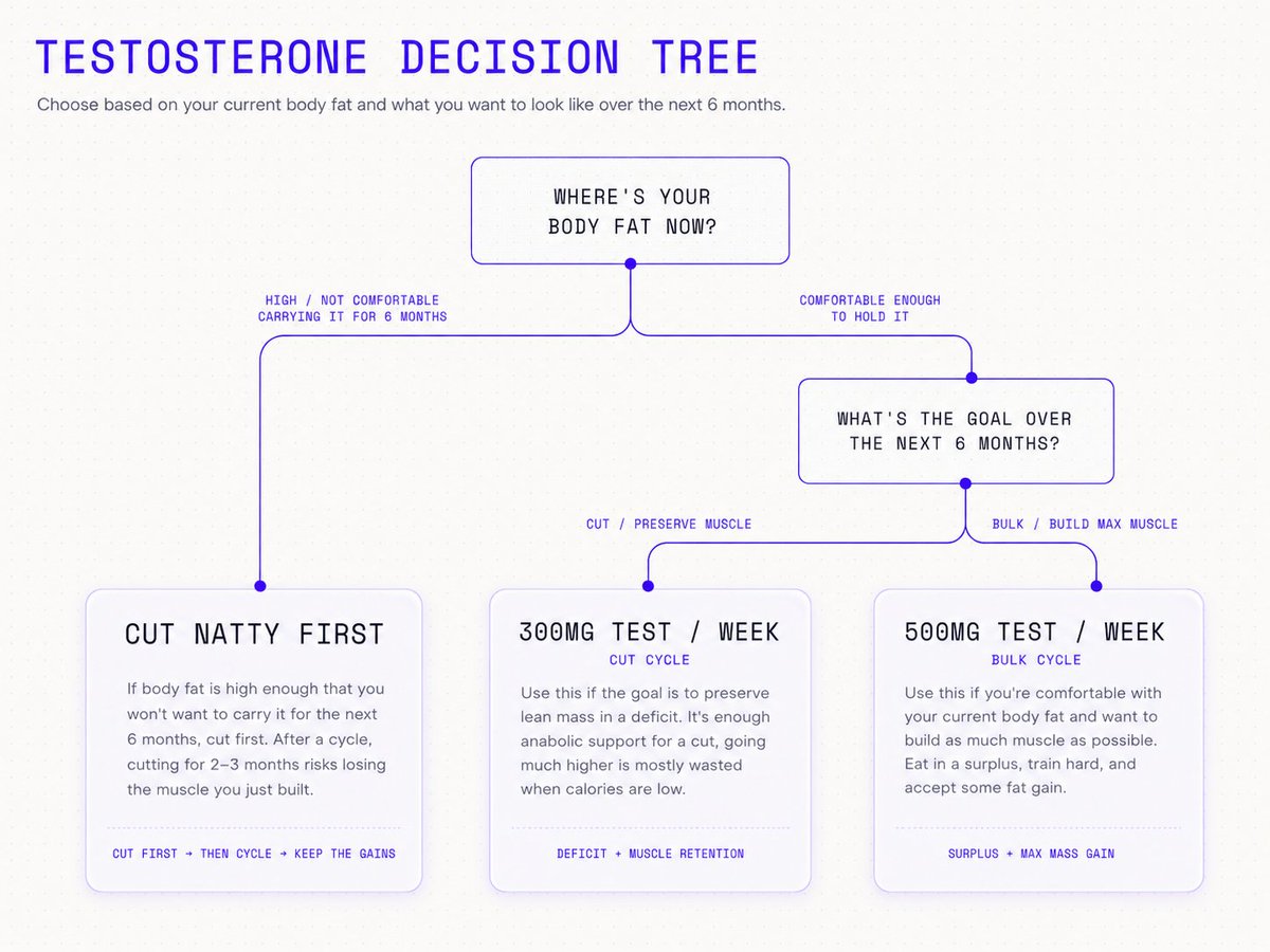 Choosing a bulk or cut for a Testosterone cycle